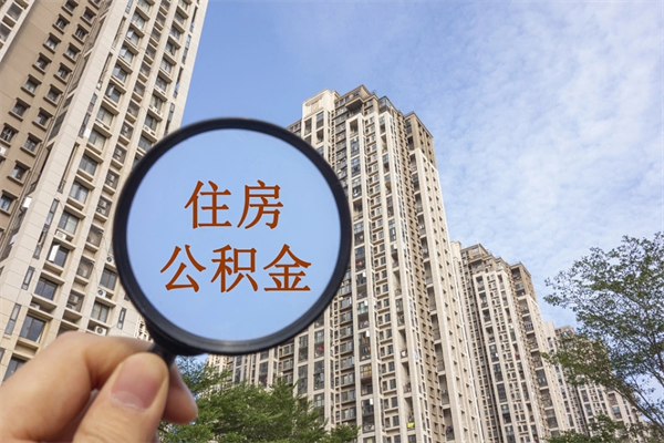 五指山离职多久可以取住房公积金(离职多久后能取公积金) 五指山离职多久可以取住房公积金(离职多久后能取公积金)